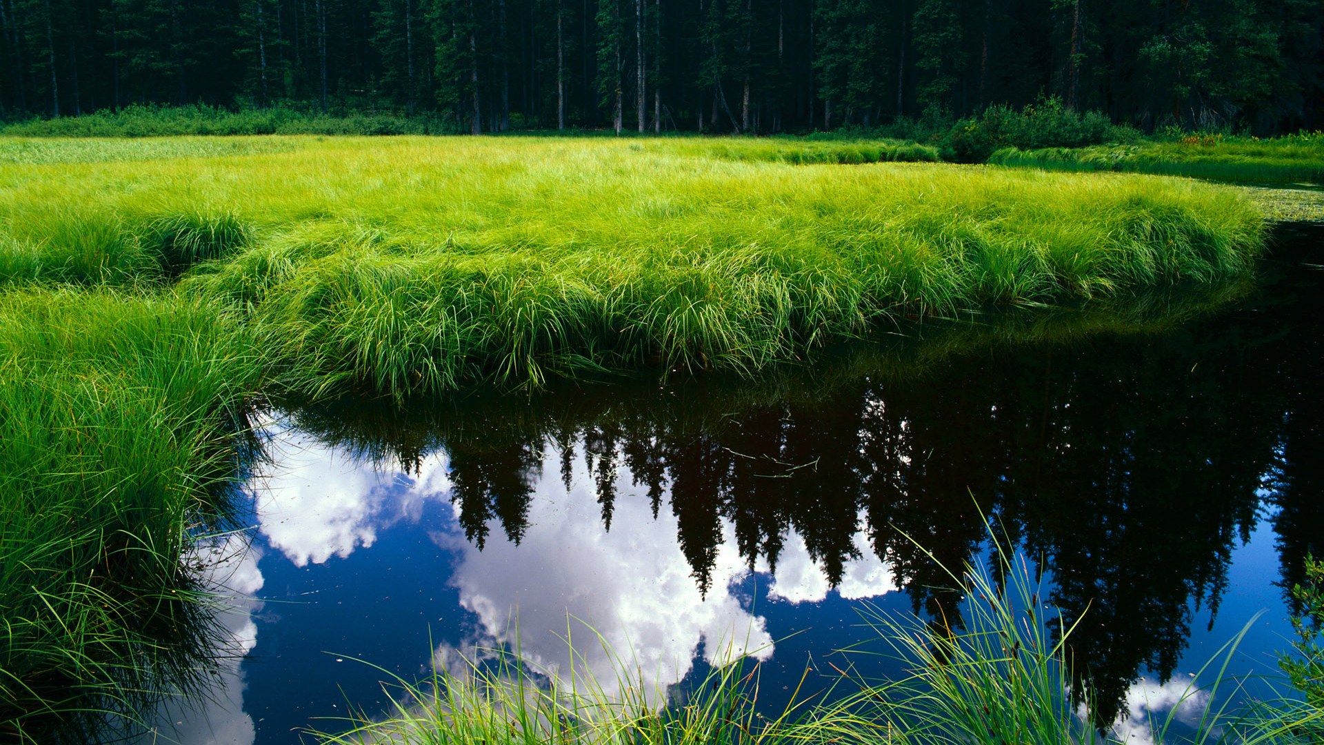 德甲深度剖析,比赛中的战术变化有效提升了场上控制力,德甲比赛规则