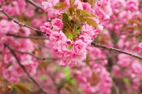 爱游戏体育APP下载-“战术变化：比赛中的智慧博弈”，比赛战术名词解释