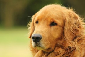 爱游戏电竞官网-“战术变革带来不同凡响的比赛节奏与效果”，战术规律