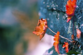 爱游戏体育app-“意甲逆转高潮：逆境中的坚持换来胜利”，意甲转会期