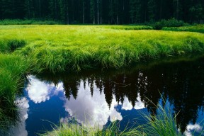 AYX官网-德甲深度剖析，比赛中的战术变化有效提升了场上控制力，德甲比赛规则