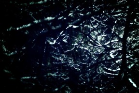 AIYOUXI.COM-“战术对决：布置与应变中的精彩瞬间”，战术队伍