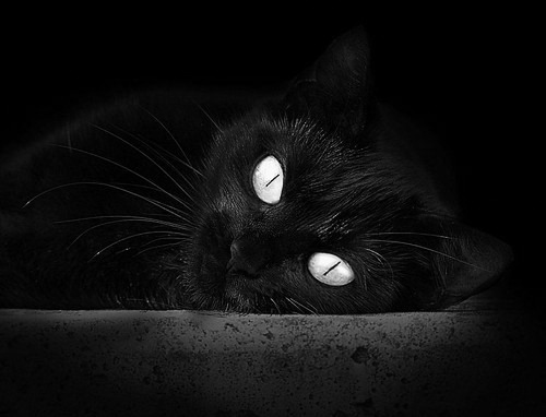 尤文稳守反击：靠紧密防守成功限制对手，尤文尤文